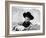 The Searchers, John Wayne, 1956-null-Framed Premium Photographic Print