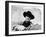 The Searchers, John Wayne, 1956-null-Framed Photo