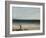 The Seashore at Palavas, 1854-Gustave Courbet-Framed Giclee Print