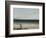 The Seashore at Palavas, 1854-Gustave Courbet-Framed Giclee Print