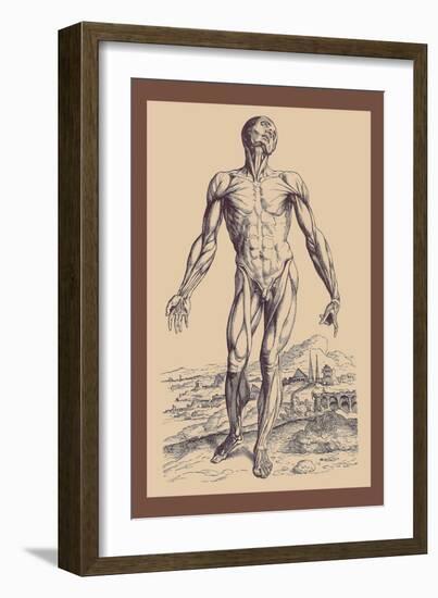 The Second Plate of the Muscles-Andreas Vesalius-Framed Art Print