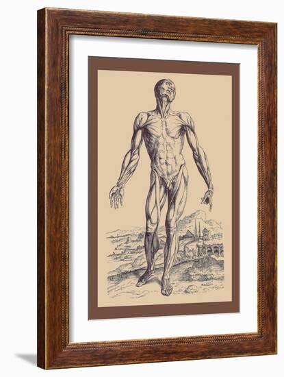 The Second Plate of the Muscles-Andreas Vesalius-Framed Art Print