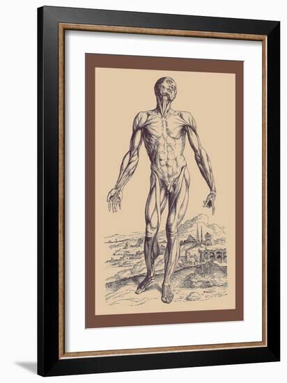 The Second Plate of the Muscles-Andreas Vesalius-Framed Art Print