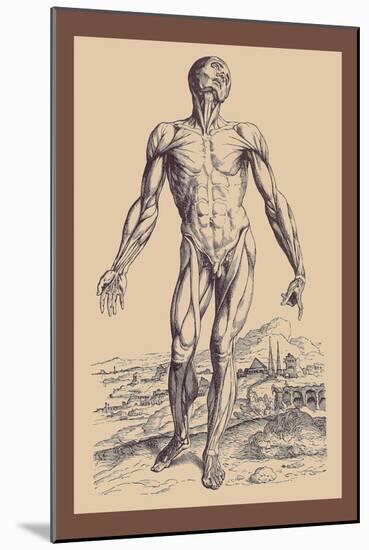 The Second Plate of the Muscles-Andreas Vesalius-Mounted Art Print