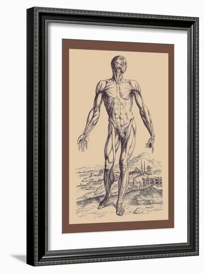 The Second Plate of the Muscles-Andreas Vesalius-Framed Art Print