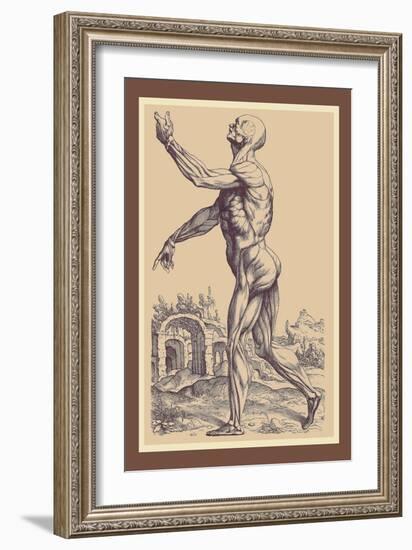 The Second Plate of the Muscles-Andreas Vesalius-Framed Art Print