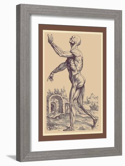 The Second Plate of the Muscles-Andreas Vesalius-Framed Art Print