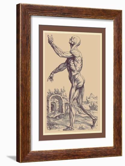 The Second Plate of the Muscles-Andreas Vesalius-Framed Art Print