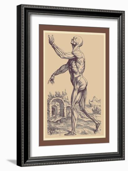 The Second Plate of the Muscles-Andreas Vesalius-Framed Art Print