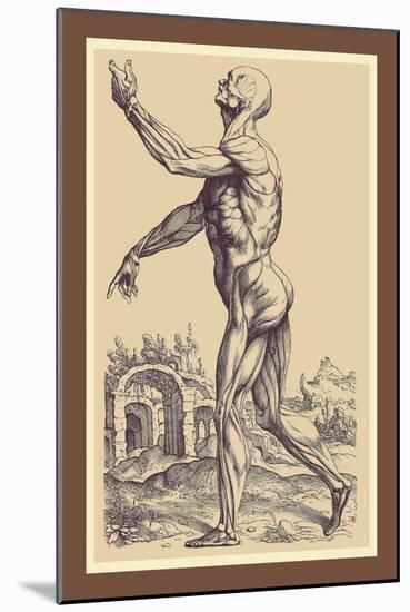 The Second Plate of the Muscles-Andreas Vesalius-Mounted Art Print