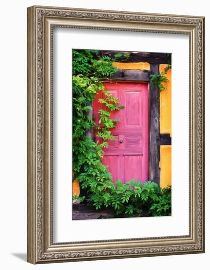 The Secret of Red Gate-Philippe Sainte-Laudy-Framed Photographic Print