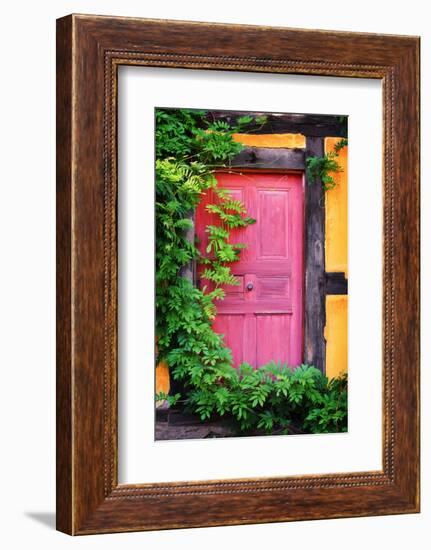The Secret of Red Gate-Philippe Sainte-Laudy-Framed Photographic Print