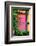 The Secret of Red Gate-Philippe Sainte-Laudy-Framed Photographic Print