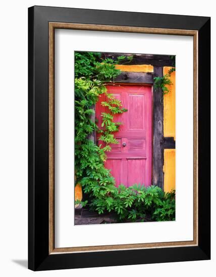 The Secret of Red Gate-Philippe Sainte-Laudy-Framed Photographic Print