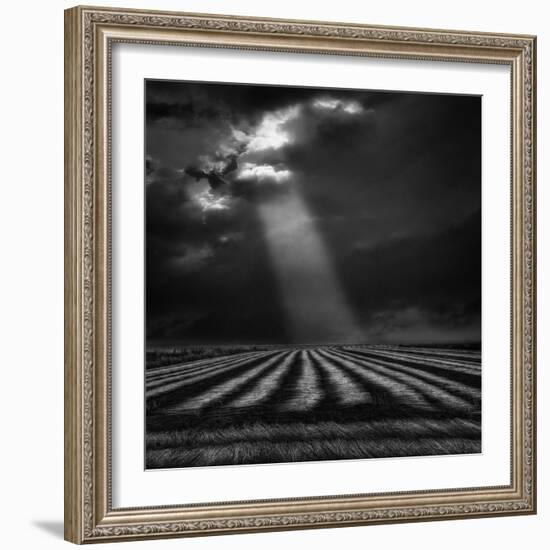 The Secure Ground of Home ...-Yvette Depaepe-Framed Photographic Print