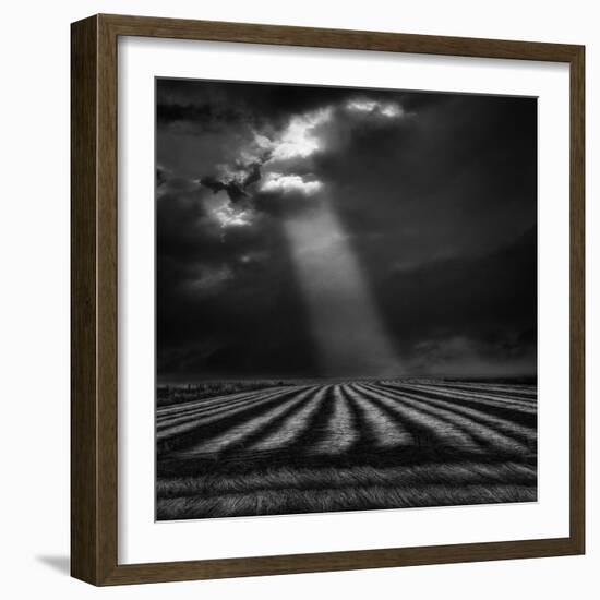 The Secure Ground of Home ...-Yvette Depaepe-Framed Photographic Print