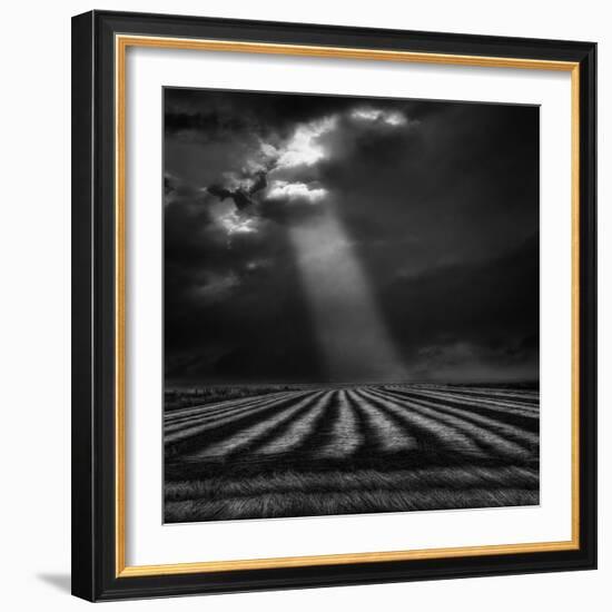 The Secure Ground of Home ...-Yvette Depaepe-Framed Photographic Print