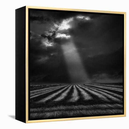 The Secure Ground of Home ...-Yvette Depaepe-Framed Premier Image Canvas