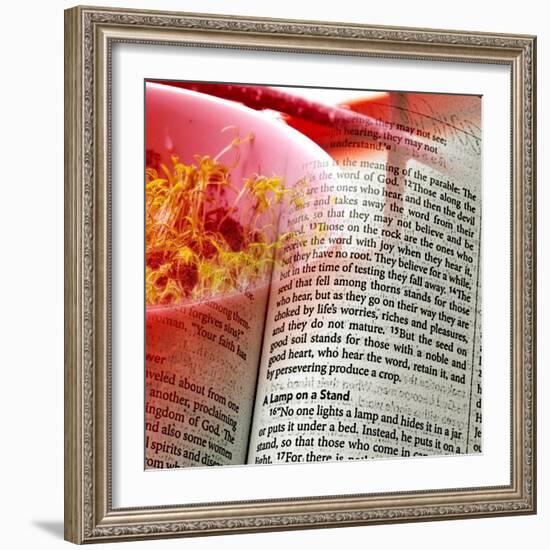 The Seed Is The Word Of God-Ruth Palmer-Framed Art Print