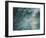 The Seine, 1898-Claude Monet-Framed Giclee Print