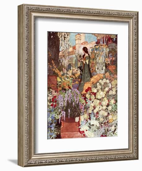 The Sensitive Plant, Robinson-Charles Robinson-Framed Photographic Print