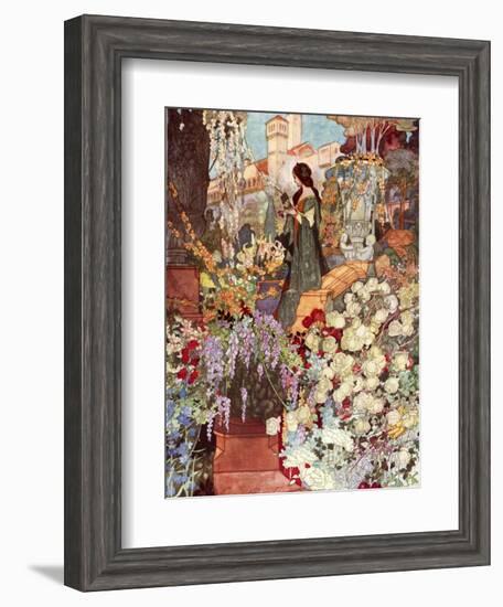 The Sensitive Plant, Robinson-Charles Robinson-Framed Photographic Print