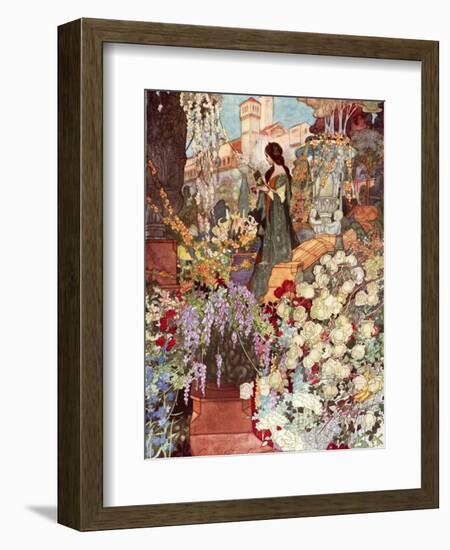 The Sensitive Plant, Robinson-Charles Robinson-Framed Photographic Print