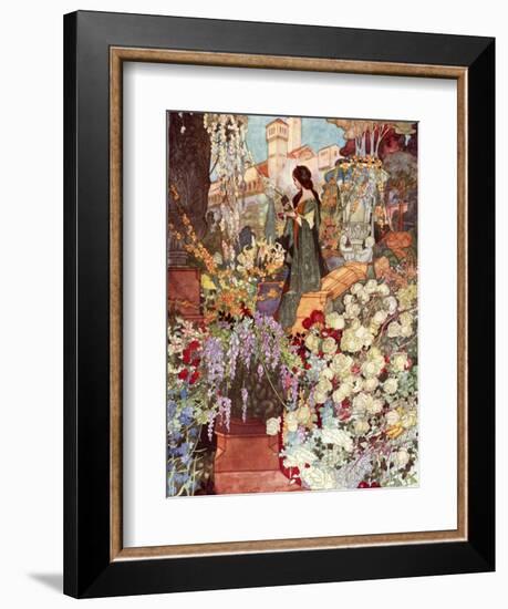 The Sensitive Plant, Robinson-Charles Robinson-Framed Photographic Print