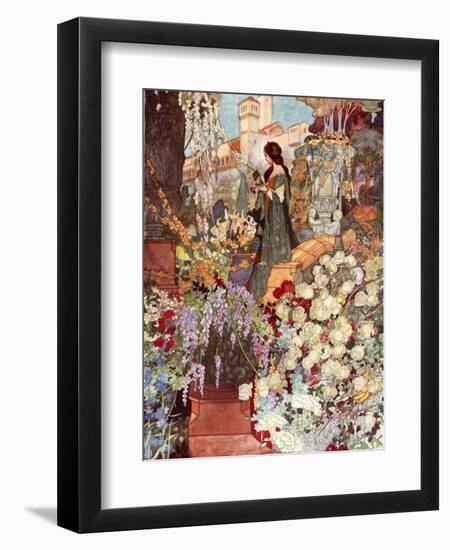 The Sensitive Plant, Robinson-Charles Robinson-Framed Photographic Print