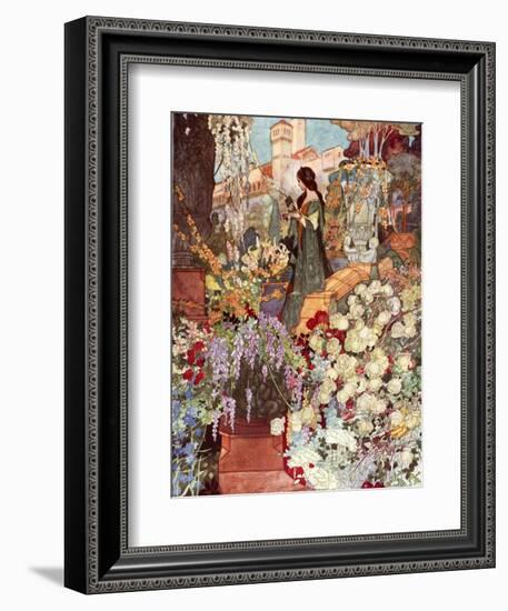 The Sensitive Plant, Robinson-Charles Robinson-Framed Photographic Print