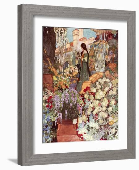 The Sensitive Plant, Robinson-Charles Robinson-Framed Photographic Print