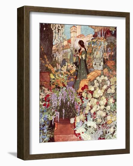 The Sensitive Plant, Robinson-Charles Robinson-Framed Photographic Print