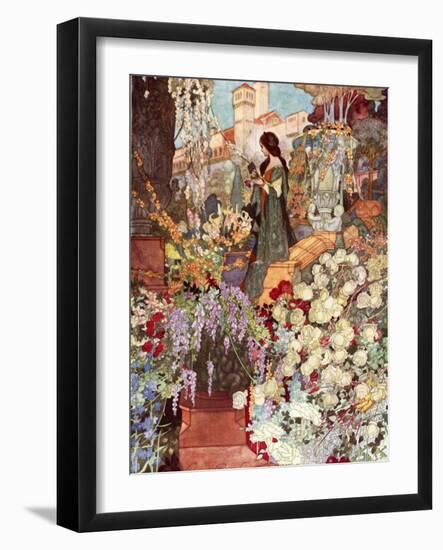 The Sensitive Plant, Robinson-Charles Robinson-Framed Photographic Print