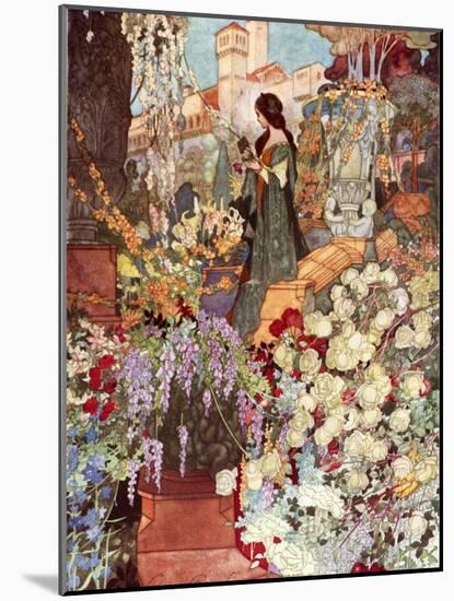 The Sensitive Plant, Robinson-Charles Robinson-Mounted Photographic Print