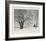 The Sentinel-William MacLean-Framed Collectable Print