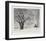 The Sentinel-William MacLean-Framed Collectable Print