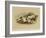 The Setters-Edwin Landseer-Framed Giclee Print