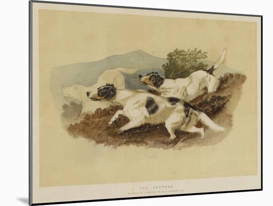 The Setters-Edwin Landseer-Mounted Giclee Print