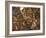 The Seven Acts of Mercy-Pieter Bruegel the Elder-Framed Giclee Print