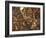 The Seven Acts of Mercy-Pieter Bruegel the Elder-Framed Giclee Print