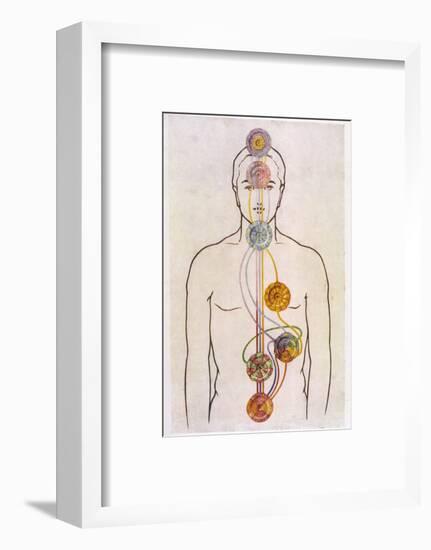 The Seven Chakras and the Streams of Vitality-C.w. Leadbeater-Framed Photographic Print