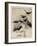 The Seven Ravens-Arthur Rackham-Framed Photographic Print