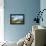 The Seven Sisters Chalk Cliffs and Coastguard Cottages-Neale Clark-Framed Premier Image Canvas displayed on a wall
