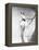 The Seven Year Itch, 1955-null-Framed Premier Image Canvas