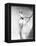 The Seven Year Itch, 1955-null-Framed Premier Image Canvas