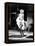 The Seven Year Itch, Marilyn Monroe, 1955-null-Framed Stretched Canvas