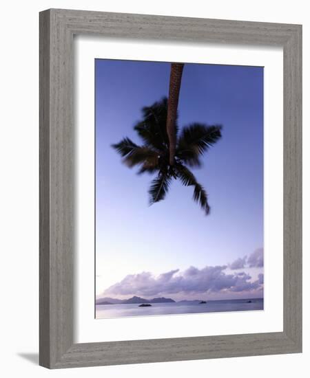 The Seychelles, Evening Mood, View to Praslin, Palm, Panorama-Catharina Lux-Framed Photographic Print