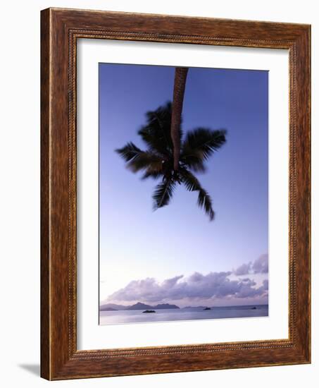 The Seychelles, Evening Mood, View to Praslin, Palm, Panorama-Catharina Lux-Framed Photographic Print