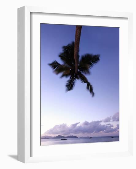 The Seychelles, Evening Mood, View to Praslin, Palm, Panorama-Catharina Lux-Framed Photographic Print