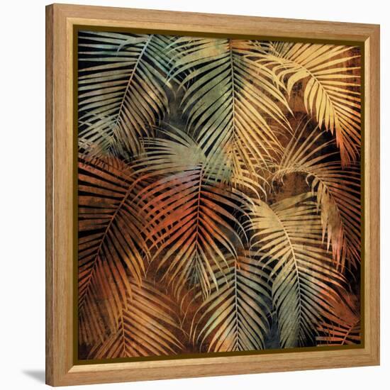 The Seychelles II-John Seba-Framed Stretched Canvas